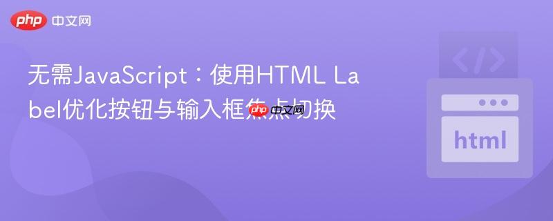 无需JavaScript：使用HTML Label优化按钮与输入框焦点切换