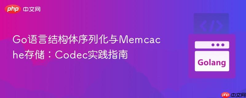 Go语言结构体序列化与Memcache存储：Codec实践指南