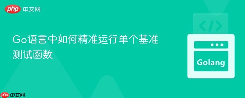 Go语言中如何精准运行单个基准测试函数