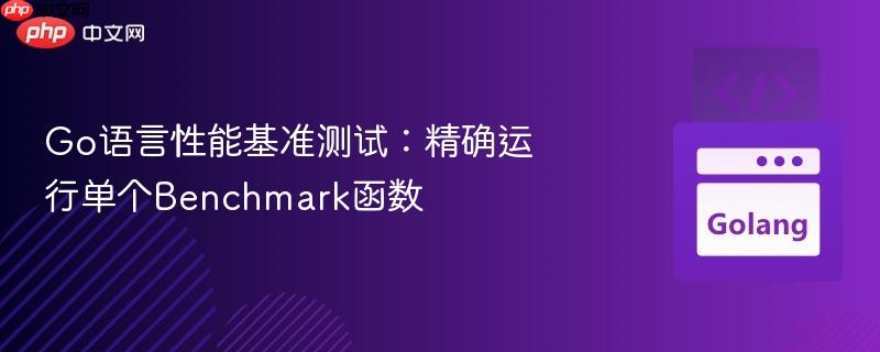 Go语言性能基准测试：精确运行单个Benchmark函数