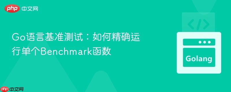 Go语言基准测试：如何精确运行单个Benchmark函数