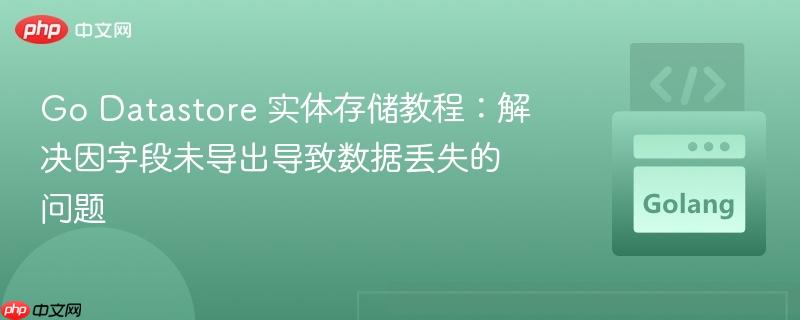 Go Datastore 实体存储教程：解决因字段未导出导致数据丢失的问题