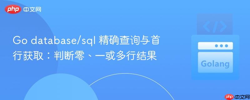 Go database/sql 精确查询与首行获取：判断零、一或多行结果