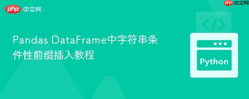 pandas dataframe中字符串条件性前缀插入教程