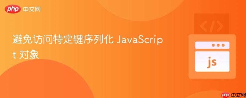 避免访问特定键序列化 JavaScript 对象