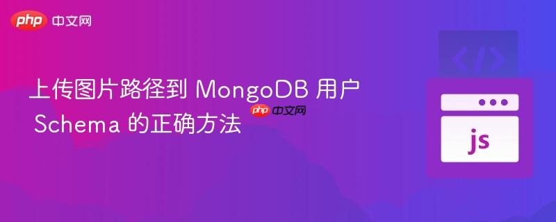 上传图片路径到 MongoDB 用户 Schema 的正确方法