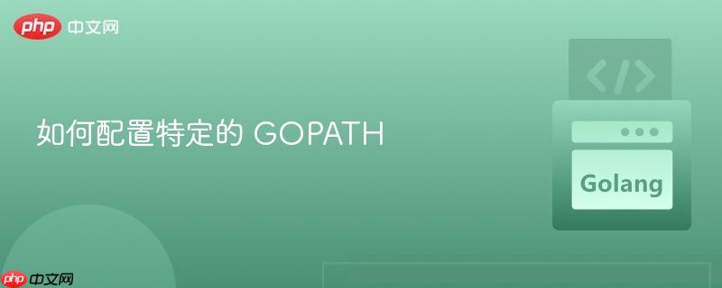 如何配置特定的 GOPATH