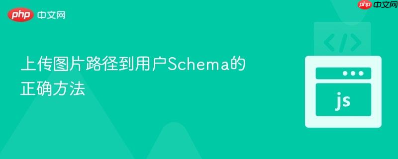 上传图片路径到用户Schema的正确方法