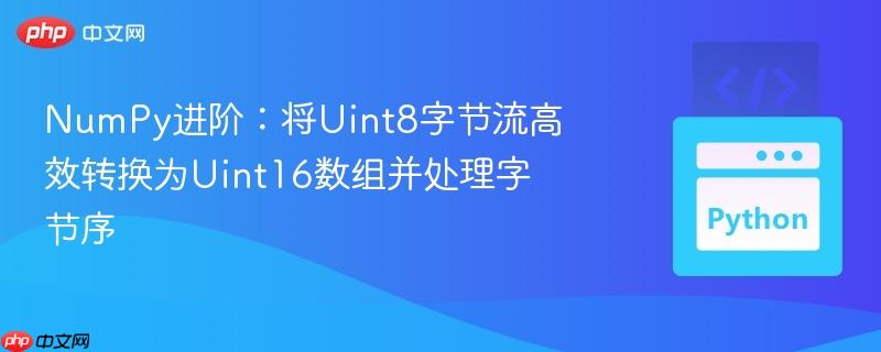 NumPy进阶：将Uint8字节流高效转换为Uint16数组并处理字节序