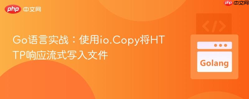 Go语言实战：使用io.Copy将HTTP响应流式写入文件