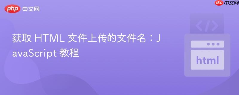 获取 HTML 文件上传的文件名：JavaScript 教程