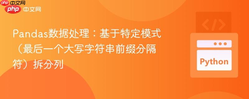 Pandas数据处理：基于特定模式（最后一个大写字符串前缀分隔符）拆分列