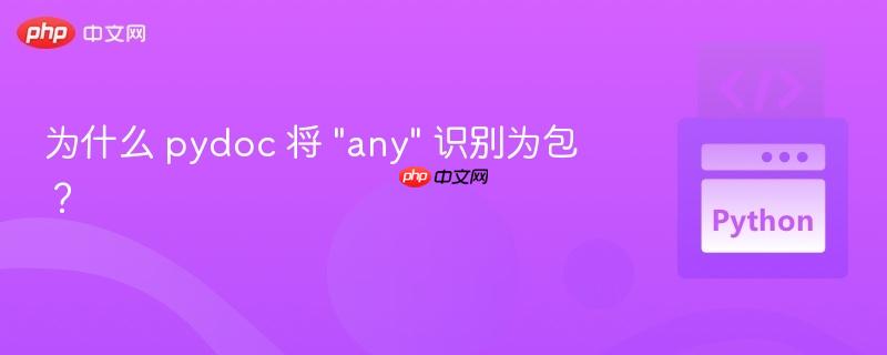 为什么 pydoc 将 “any” 识别为包？