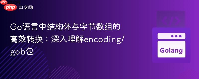 Go语言中结构体与字节数组的高效转换：深入理解encoding/gob包