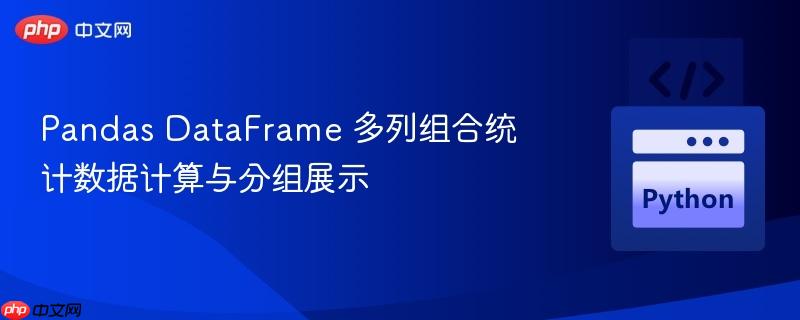 Pandas DataFrame 多列组合统计数据计算与分组展示