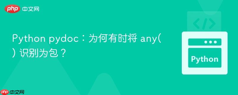 Python pydoc：为何有时将 any() 识别为包？