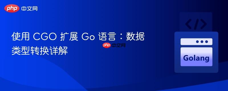 使用 CGO 扩展 Go 语言：数据类型转换详解