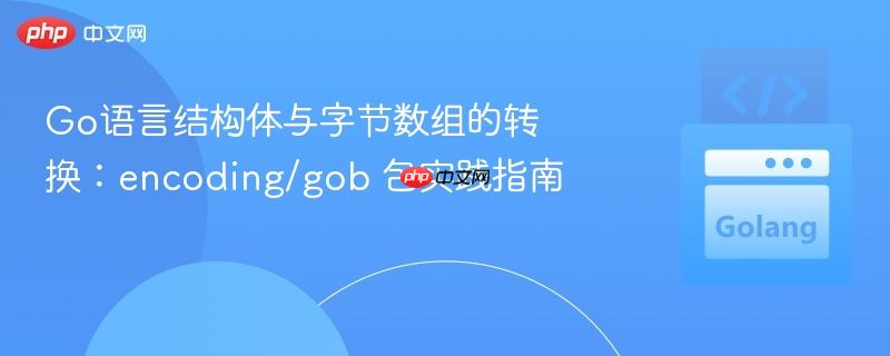 Go语言结构体与字节数组的转换：encoding/gob 包实践指南