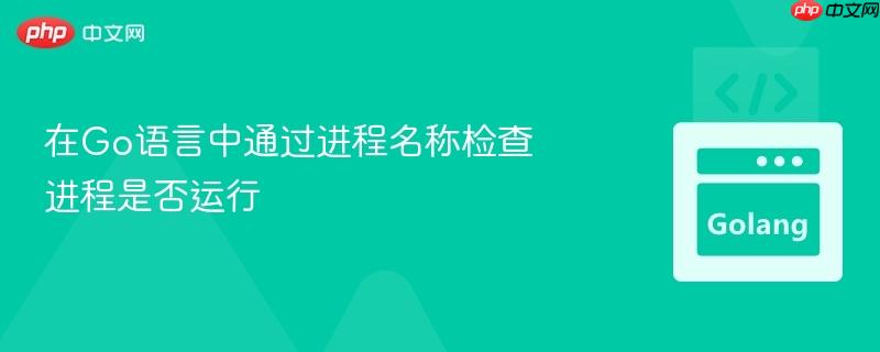 在Go语言中通过进程名称检查进程是否运行