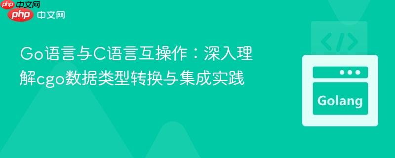 Go语言与C语言互操作：深入理解cgo数据类型转换与集成实践