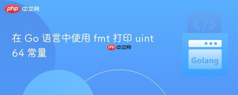 在 Go 语言中使用 fmt 打印 uint64 常量