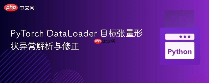 PyTorch DataLoader 目标张量形状异常解析与修正
