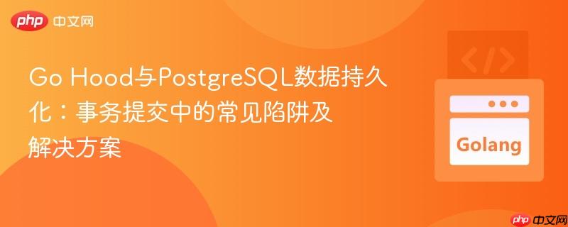 Go Hood与PostgreSQL数据持久化：事务提交中的常见陷阱及解决方案