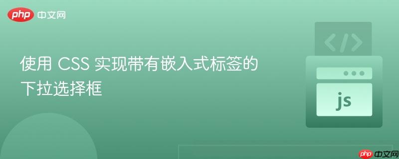 使用 CSS 实现带有嵌入式标签的下拉选择框