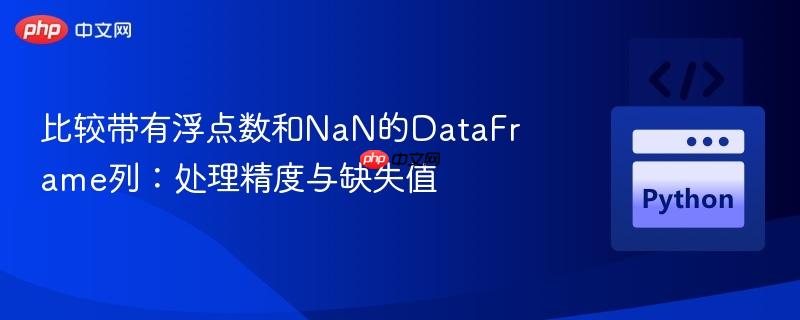 比较带有浮点数和NaN的DataFrame列：处理精度与缺失值