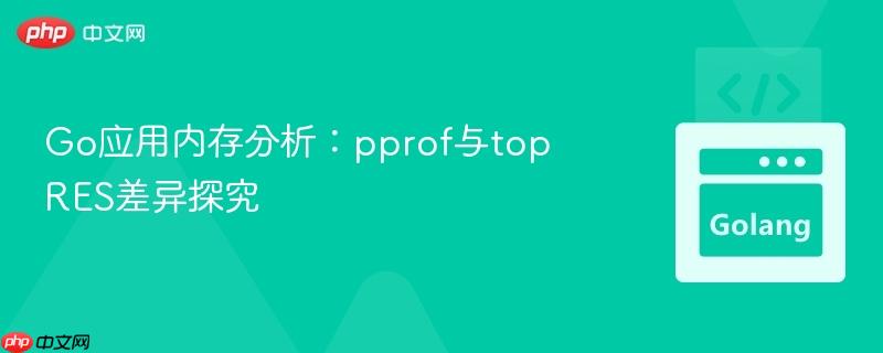 Go应用内存分析：pprof与top RES差异探究