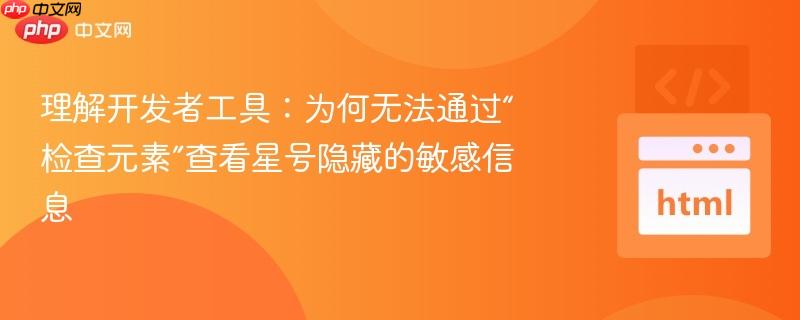 理解开发者工具：为何无法通过“检查元素”查看星号隐藏的敏感信息