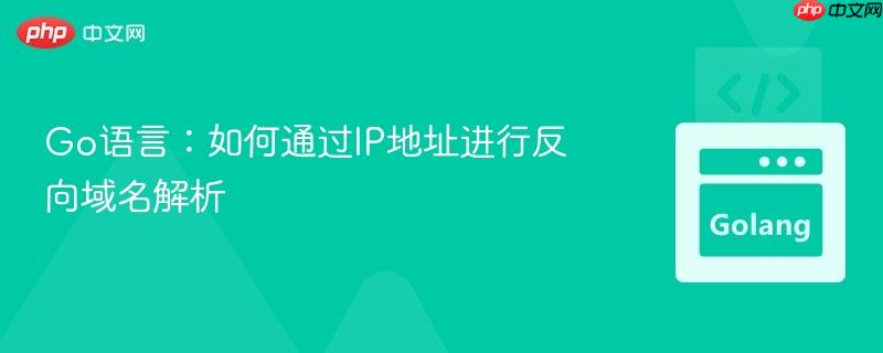 Go语言：如何通过IP地址进行反向域名解析