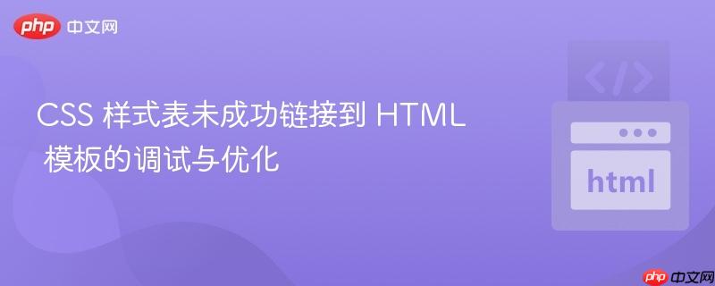 CSS 样式表未成功链接到 HTML 模板的调试与优化