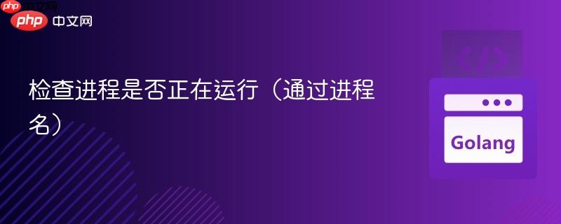 检查进程是否正在运行（通过进程名）
