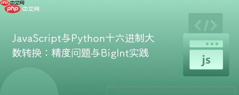 JavaScript与Python十六进制大数转换：精度问题与BigInt实践
