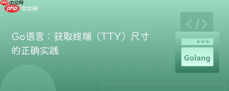 Go语言：获取终端（TTY）尺寸的正确实践