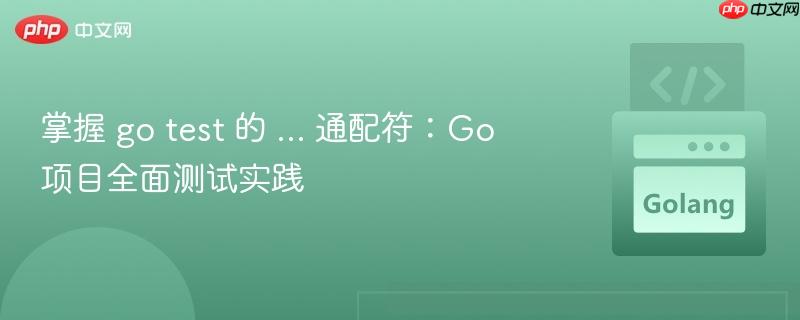 掌握 go test 的 … 通配符：Go 项目全面测试实践