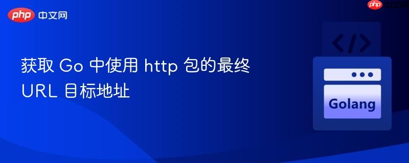 获取 Go 中使用 http 包的最终 URL 目标地址