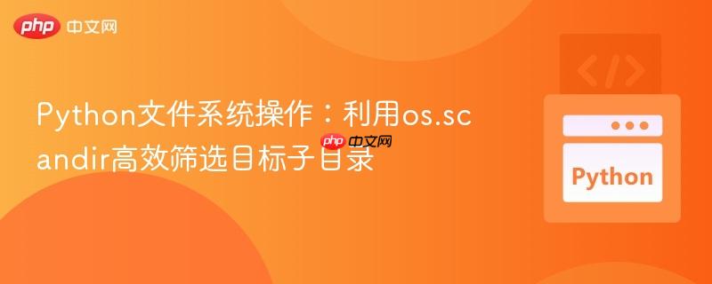 Python文件系统操作：利用os.scandir高效筛选目标子目录