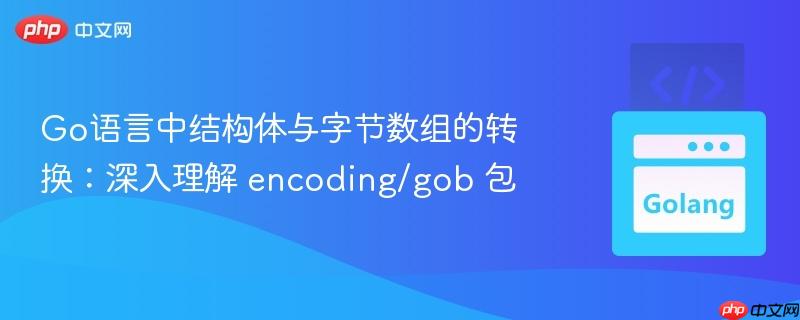 Go语言中结构体与字节数组的转换：深入理解 encoding/gob 包