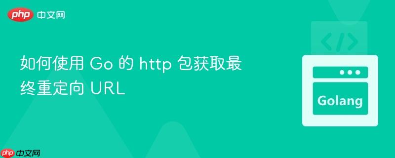 如何使用 Go 的 http 包获取最终重定向 URL
