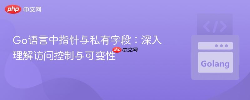 Go语言中指针与私有字段：深入理解访问控制与可变性