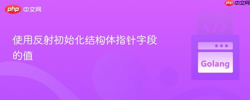 使用反射初始化结构体指针字段的值