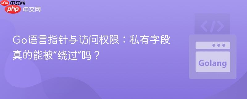 Go语言指针与访问权限：私有字段真的能被“绕过”吗？