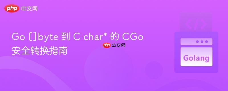 Go []byte 到 C char* 的 CGo 安全转换指南