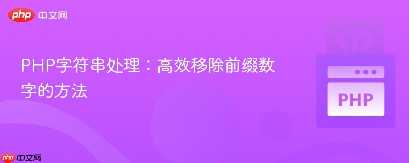 PHP字符串处理：高效移除前缀数字的方法