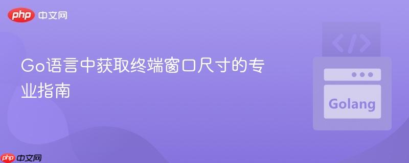 Go语言中获取终端窗口尺寸的专业指南