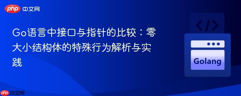 Go语言中接口与指针的比较：零大小结构体的特殊行为解析与实践