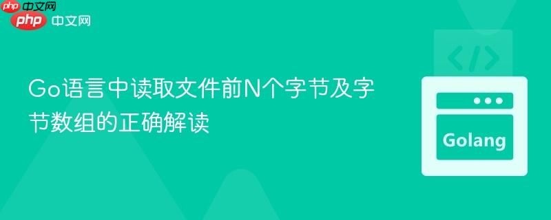 Go语言中读取文件前N个字节及字节数组的正确解读