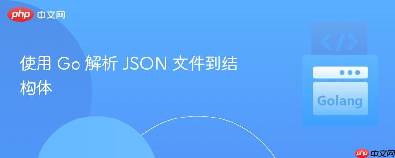 使用 Go 解析 JSON 文件到结构体